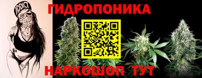 стафф Будённовск