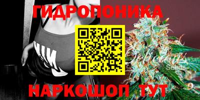 стафф Будённовск