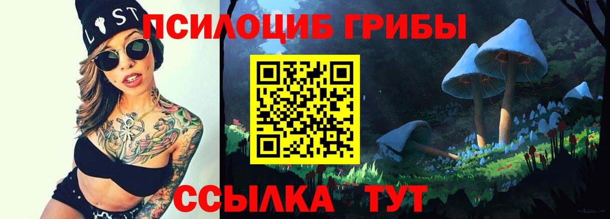 Щёлково  Псилоцибиновые грибы мухоморы  Вход с VPN 